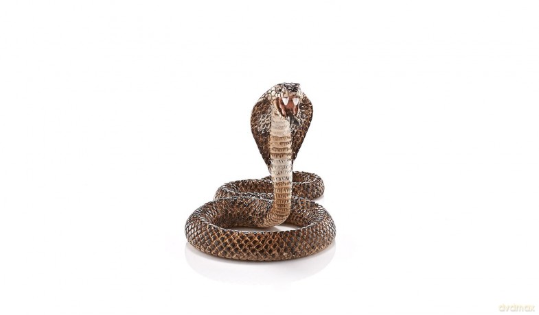 SCHLEICH Kobra