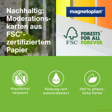 Magnetoplan: magnetoplan Moderationskarten Neon farbs