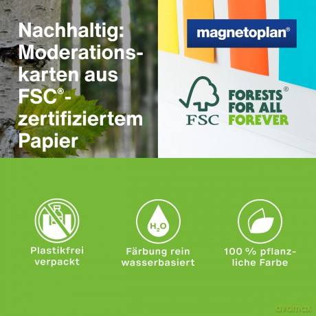 Magnetoplan: magnetoplan Moderationskarten Rainbow fa