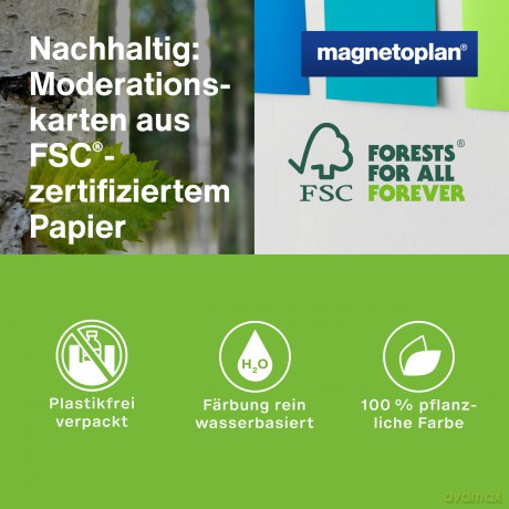 Magnetoplan: magnetoplan Moderationskarten Sea farbso