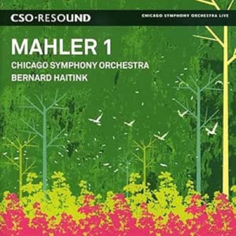 Mahler/Symphonie Nâ° 1 [CD]