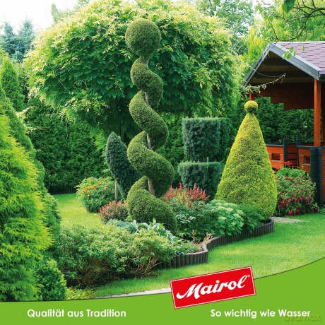 Mairolâž: Mairol Gehślzgenial Baum- und Strauchdź