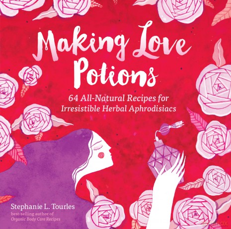Making Love Potions [KSIĄŻKA]