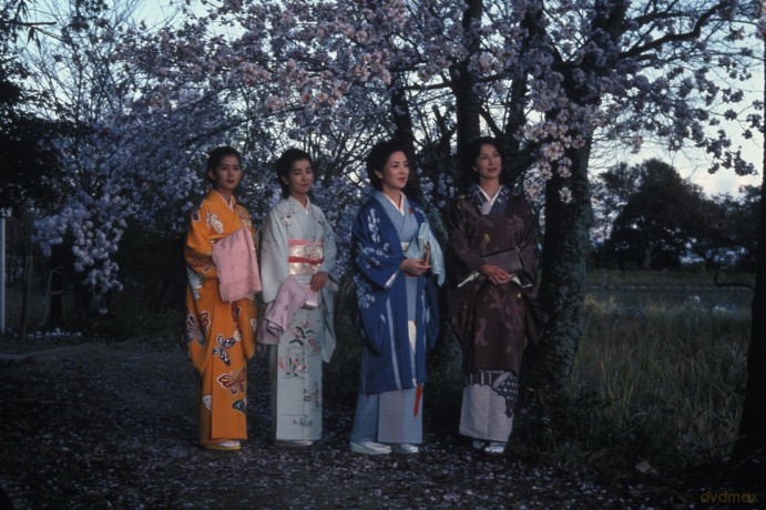 Makioka Sisters [DVD]