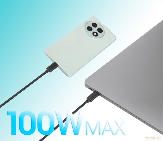 MANHATTAN Dual USB-C Ladekabel 100 W 2 m