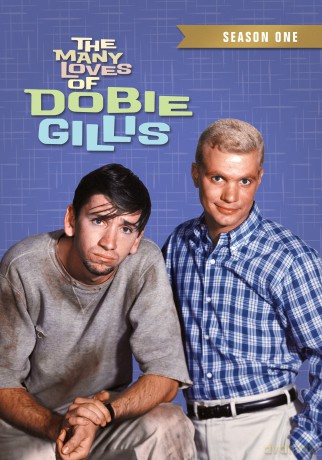 Many Loves Of Dobie Gillis: Season One [5DVD]