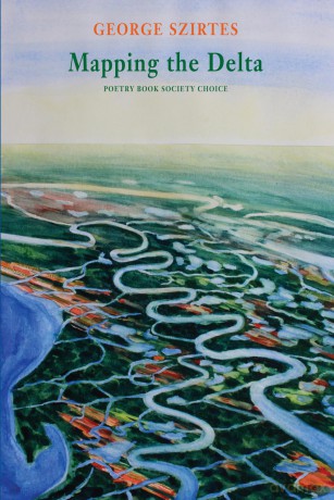 Mapping The Delta [KSIĄŻKA]