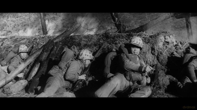 Marine-Division Feuerdrache [DVD]