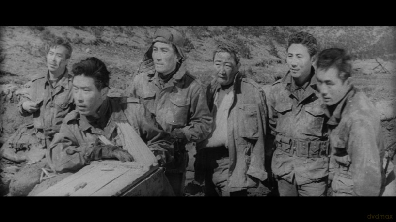 Marine-Division Feuerdrache [DVD]