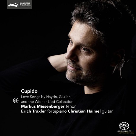 Markus Miesenberger Erich Traxler Christian Haimel-Cupido - Love Songs: Markus Miesenberger Erich Traxler Christian Haimel-Cupido - Love Songs [CD]