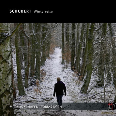 Markus Schafer-Schubert Die Winterreise: Markus Schafer-Schubert Die Winterreise [CD]