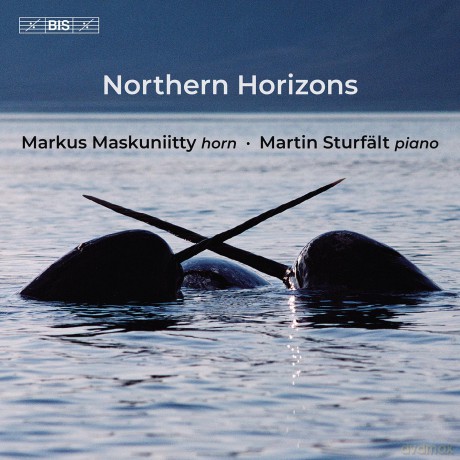 Maskuniitty: Maskuniitty/Sturfalt-Northern Horizons [CD]