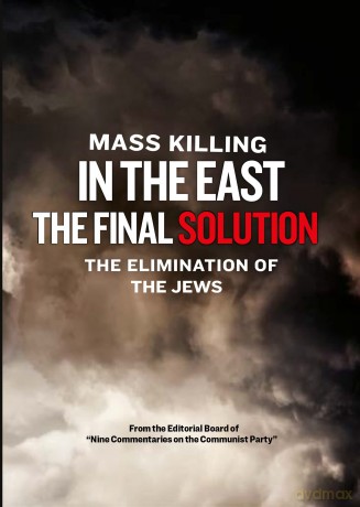 Mass Killing In The East - The Final Solution [DVD]
