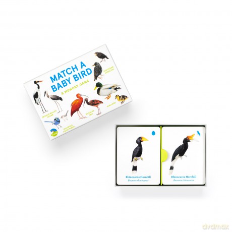 Match a Baby Bird [KSIĄŻKA]