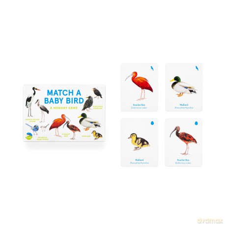 Match a Baby Bird [KSIĄŻKA]