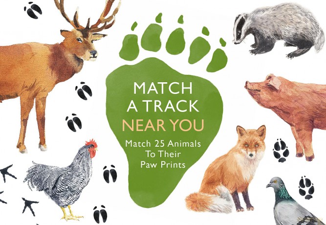 Match a Track Near You [KSIĄŻKA]