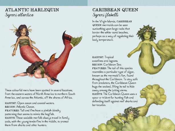 Match the Mermaids [KSIĄŻKA]