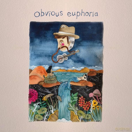 Matt Mitchell Music Co.-Obvious Euphoria: Matt Mitchell Music Co.-Obvious Euphoria [CD]