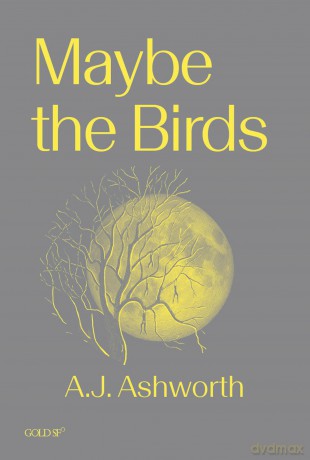 Maybe The Birds [KSIĄŻKA]