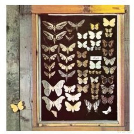 Mayfly: Mayfly - Mayfly (Korea) [CD]