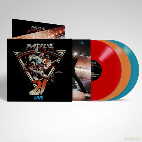 Mcfly-21 Live: McFly-21 Live [3xWinyl]