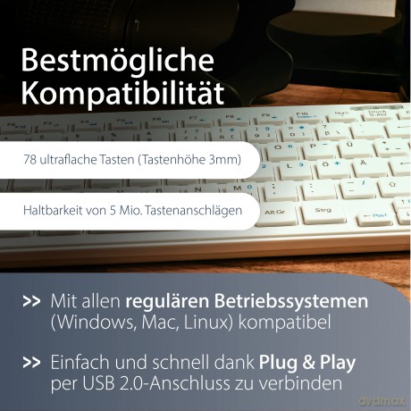 MediaRange MROS113 Tastatur kabelgebunde
