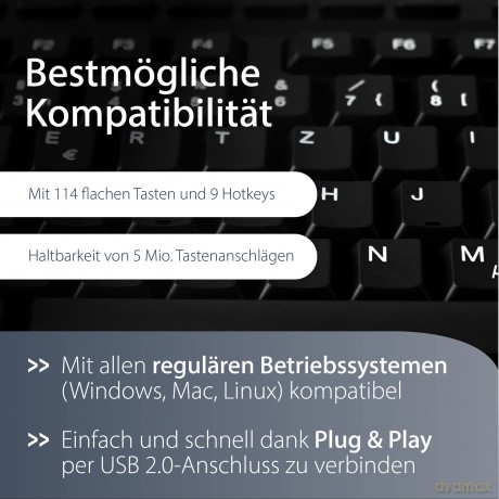MediaRange Tastatur MROS102