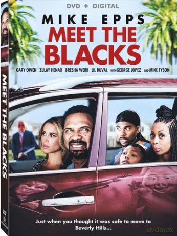 Meet The Blacks [DVD]