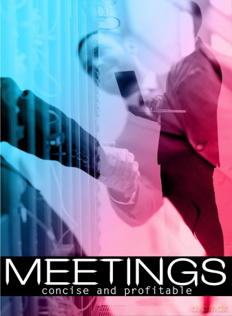 Meetings Concise And Profitable [DVD]