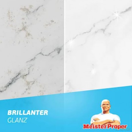 Meister Proper CITRUSFRISCHE Allzweckrei