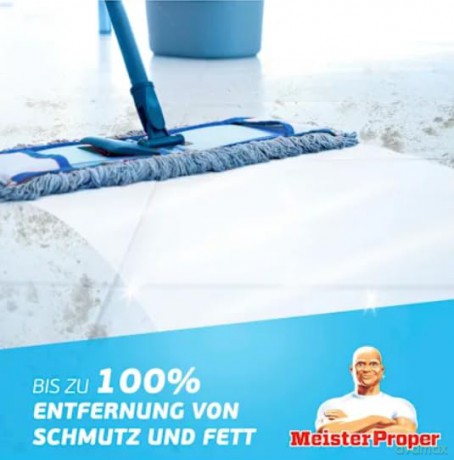 Meister Proper CITRUSFRISCHE Allzweckrei