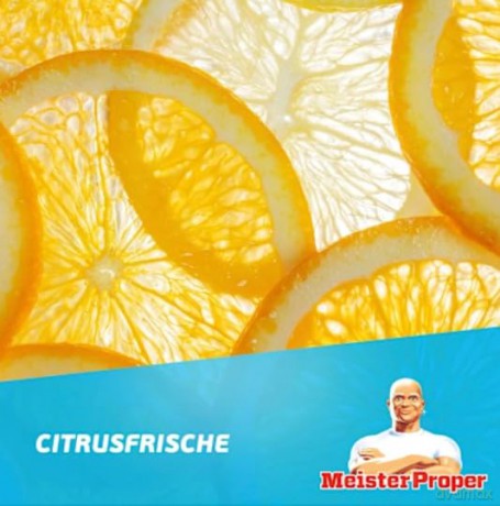Meister Proper CITRUSFRISCHE Allzweckrei