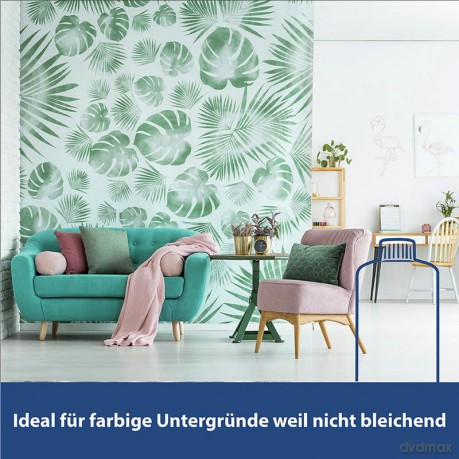 MELLERUD Chlorfrei Schimmelentferner 0,2