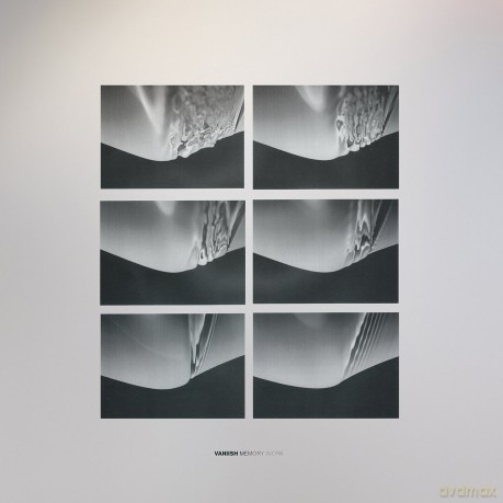 Vaniish: Memory Work (Limited Edition Lp) [Winyl]