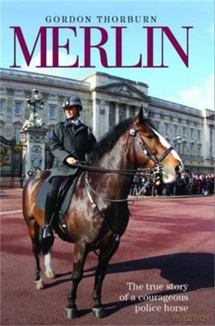 Merlin The True Story Of A Courageous Police Horse Rrp 12.99 [KSIĄŻKA]
