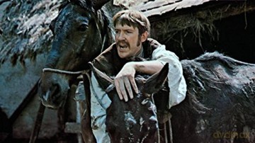 Michael Kohlhaas-Der Rebell [DVD]