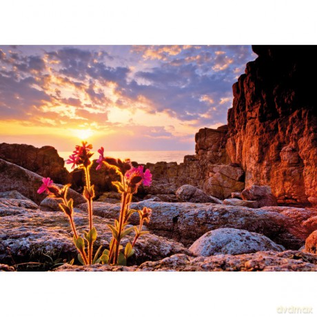 HEYE 1000 El. Red Campion [PUZZLE]