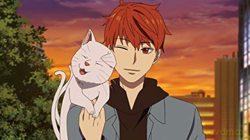 Midnight Occult Civil Servants - Volume 2 (Ep. 5-8) [DVD]