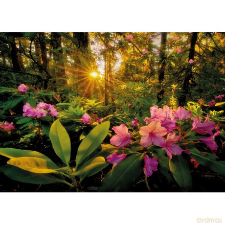 HEYE 2000 El. Rhododendron [PUZZLE]