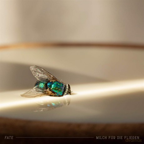 Fate: Milch für die Fliegen [CD]