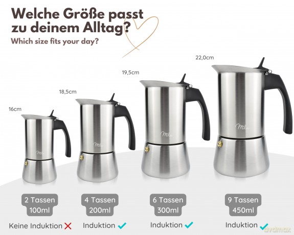 Milu: Milu Espressokocher silber, 2 Tassen