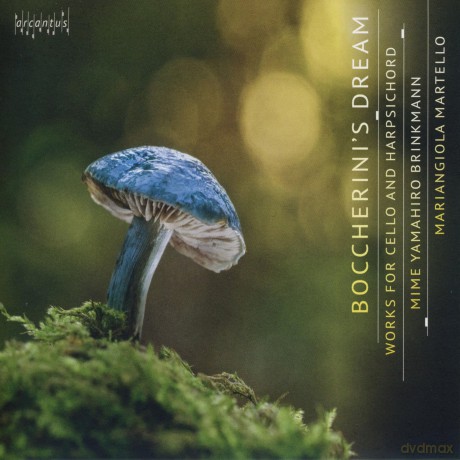 Mime Yamahiro Brinkmann; Mariangiola Martello-Boccherini's Dream: Mime Yamahiro Brinkmann; Mariangiola Martello-Boccherini's Dream [CD]