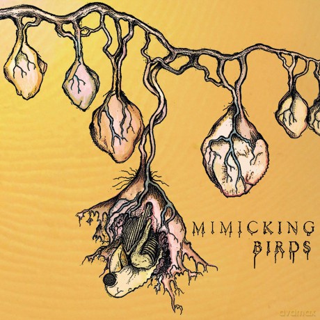 Mimicking Birds-Mimicking Birds: Mimicking Birds-Mimicking Birds [CD]
