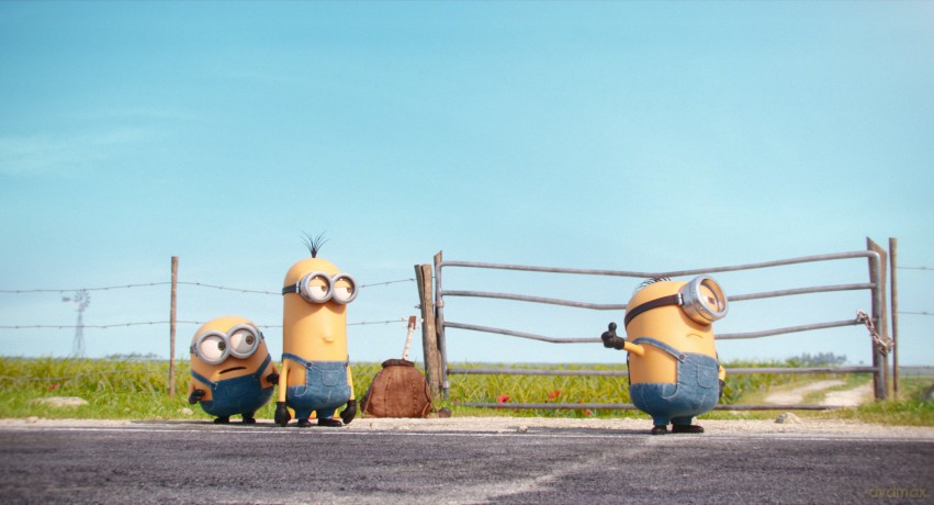 Minions [DVD]