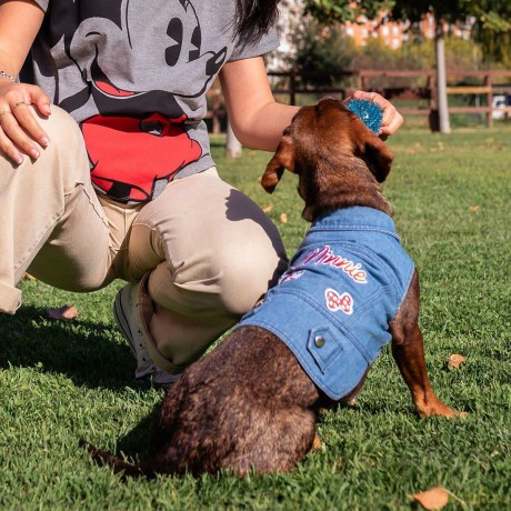 MINNIE - Dog Denim Jacket - S