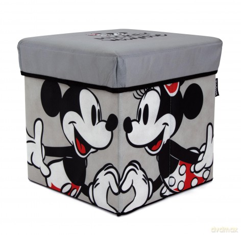 MINNIE - Storage Stool - '30x30x30cm'