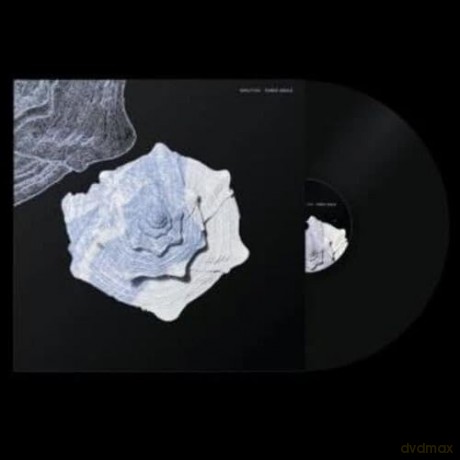 Anile Fabio: Minutiae [Winyl]