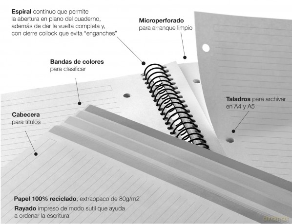 Miquelrius: MIQUELRIUS Collegeblock Eco Desgin 4 lin