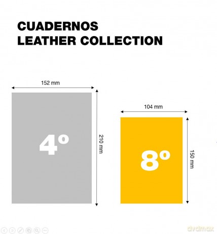 Miquelrius: MIQUELRIUS Notizbuch Leather kariert, sc