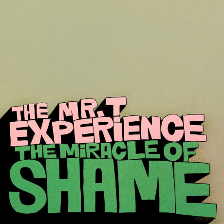 Mr T Experience: Miracle Of Shame [Winyl]